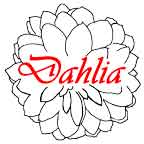 Dahlia Music PNW